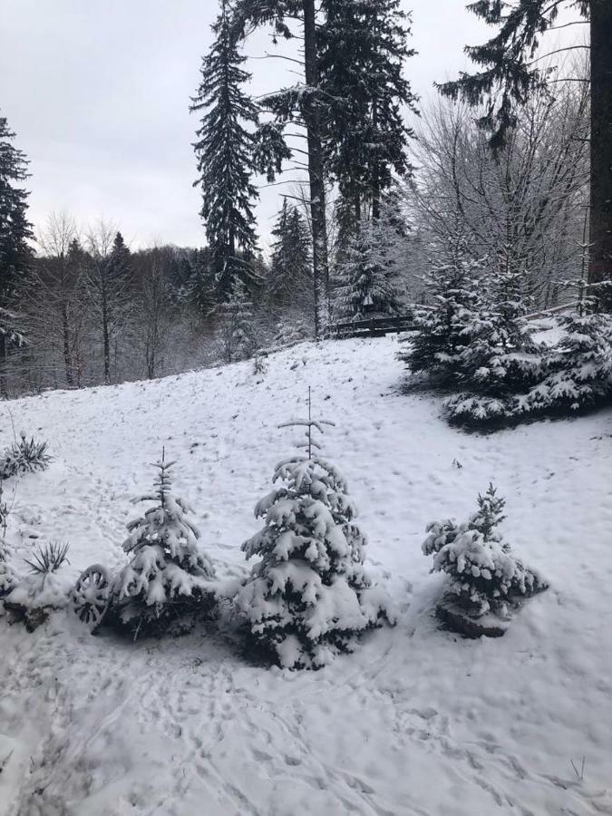 Fairytale Apartment Close To Bradu Ski Slope Poiana Brasov Exterior foto