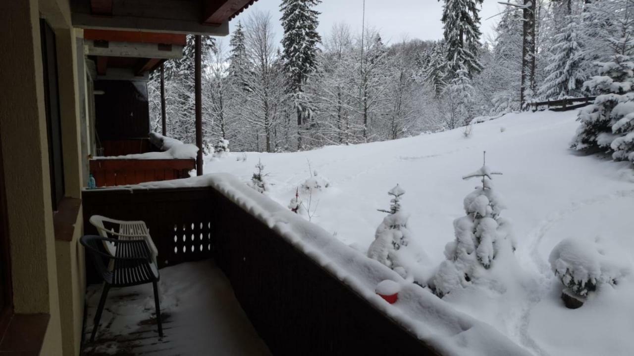 Fairytale Apartment Close To Bradu Ski Slope Poiana Brasov Exterior foto
