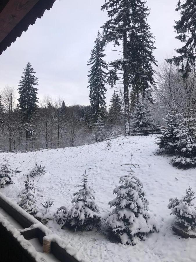 Fairytale Apartment Close To Bradu Ski Slope Poiana Brasov Exterior foto